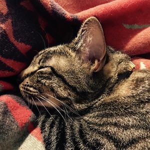 Meet your Posher, Eva